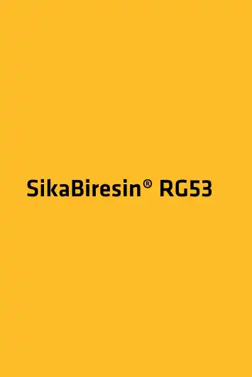 SikaBiresin RG53
